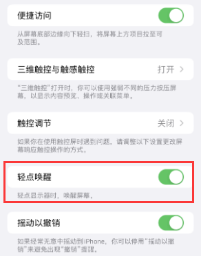 绍兴苹果授权维修站分享iPhone轻点无法唤醒怎么办 