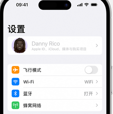 绍兴appleID维修服务iPhone设置中Apple ID显示为灰色无法使用