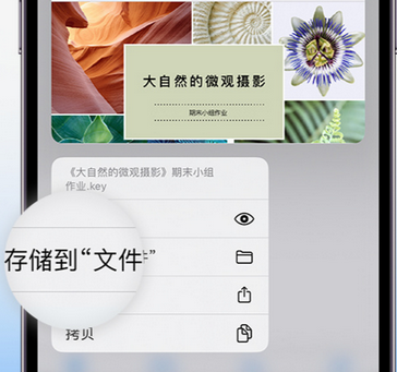 绍兴apple维修中心分享iPhone文件应用中存储和找到下载文件