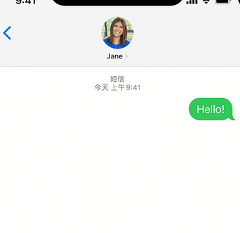 绍兴apple维修iPhone上无法正常发送iMessage信息