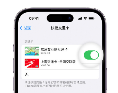 绍兴apple维修点分享iPhone上更换Apple Pay快捷交通卡手绘卡面 