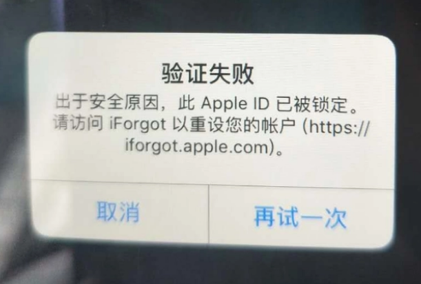 绍兴iPhone维修分享iPhone上正常登录或使用AppleID怎么办 