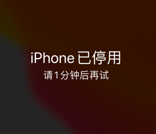 绍兴苹果手机维修分享:iPhone 显示“不可用”或“已停用”怎么办？还能保留数据吗？ 