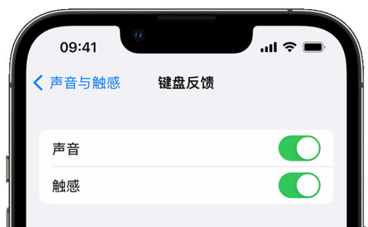 绍兴苹果手机维修分享iPhone 14触感键盘使用方法 