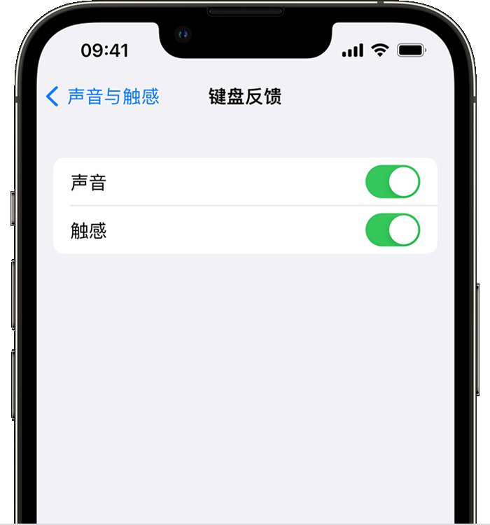 绍兴苹果14维修店分享如何在 iPhone 14 机型中使用触感键盘 