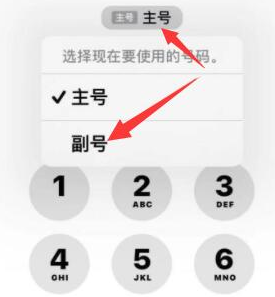 绍兴苹果14维修店分享iPhone 14 Pro Max使用副卡打电话的方法 