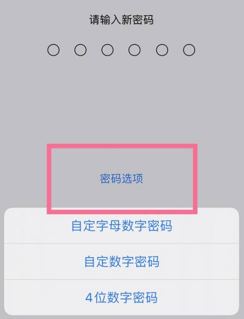 绍兴苹果14维修分享iPhone 14plus设置密码的方法 