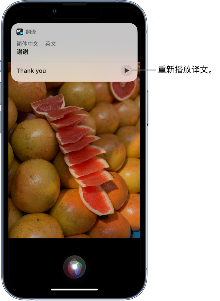 绍兴苹果14维修分享 iPhone 14 机型中使用 Siri：了解 Siri 能帮你做什么 