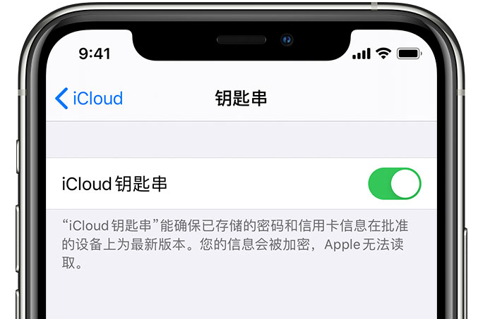 绍兴苹果手机维修分享在 iPhone 上开启 iCloud 钥匙串之后会储存哪些信息 