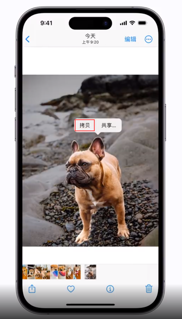 绍兴苹果手机维修分享 iOS 16 自带一键抠图功能 