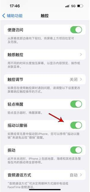 绍兴苹果手机维修分享iPhone手机如何设置摇一摇删除文字 