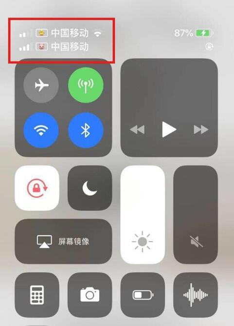 绍兴苹果手机维修分享为 iPhone 12 双卡设置标签 